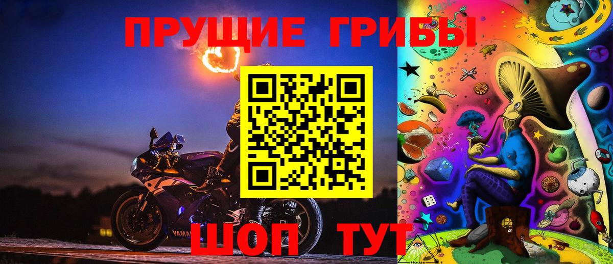 Галлюциногенные грибы Psilocybe  Вход с VPN  Дивногорск 